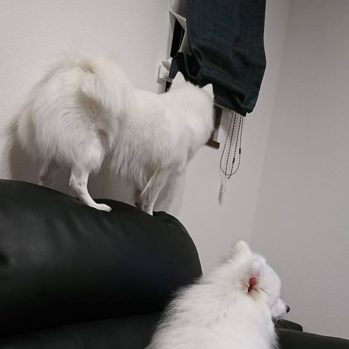 987f899d d0f1 41c0 ac59 f3ba57f1fba1 1548327980894