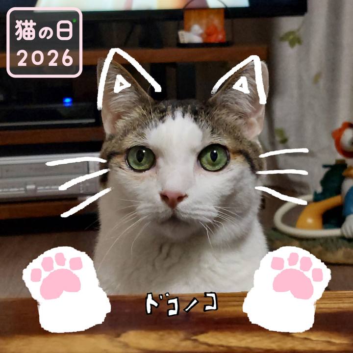 987fcefb b8cb 4a4e 9662 cbd53ca14907 1771743078420