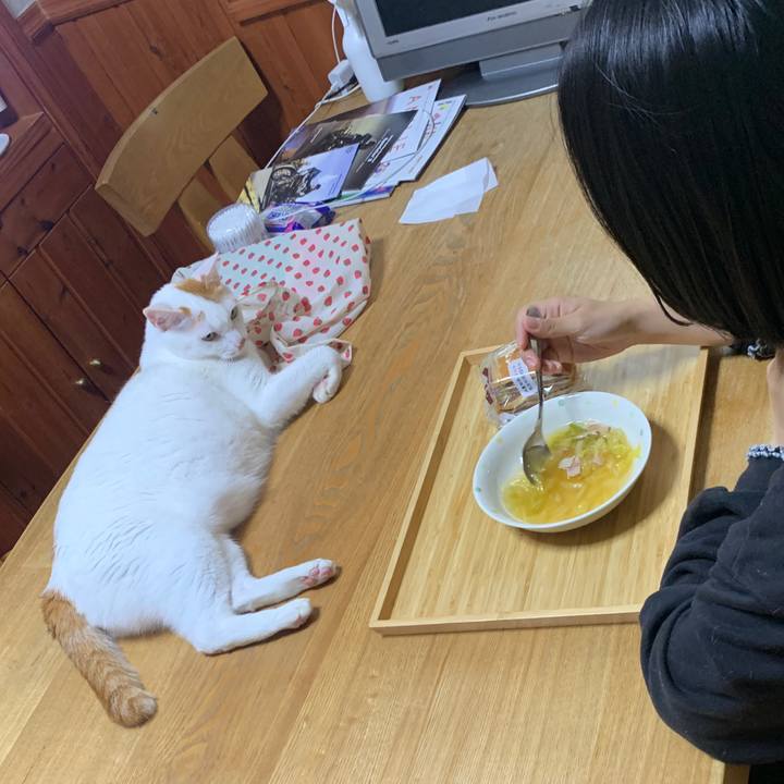 987ff53f 90da 47a9 a007 dfdca0932998 1665718633776