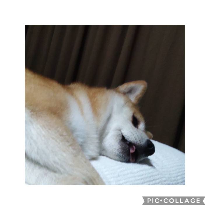 98800e98 e9f4 4c0f aefe 68c935ae8346 1752041889994