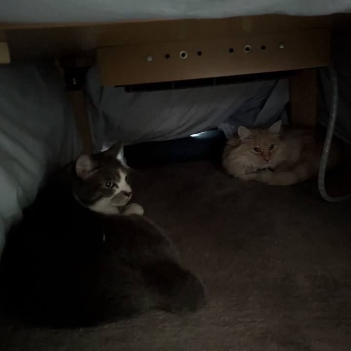 98802775 7fa0 4499 8a60 fae94fd21110 1770516470563