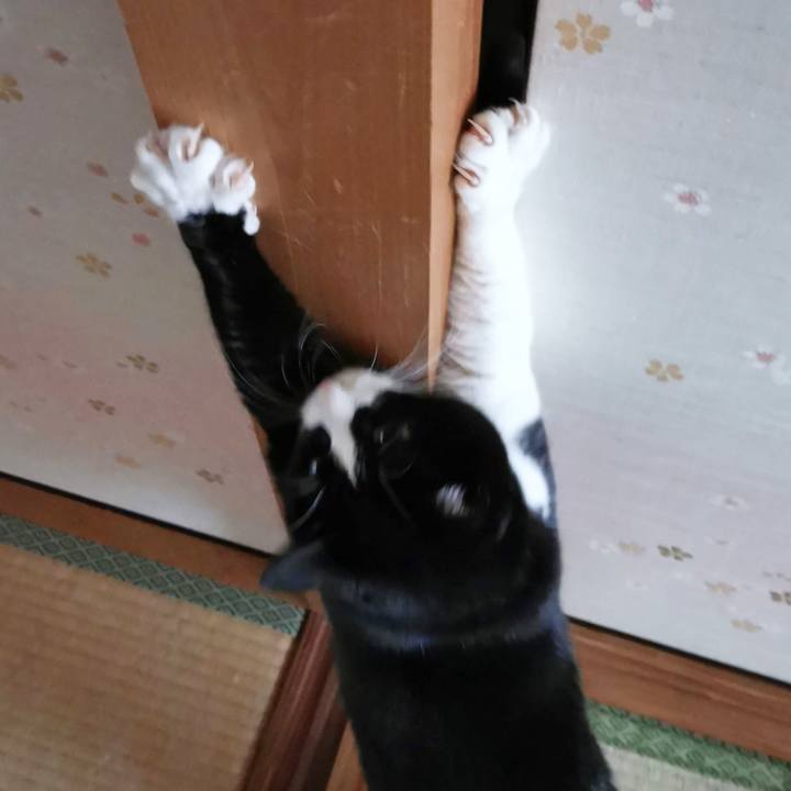 988080e9 4a4b 4466 b916 61d71a2d202a 1671609245025