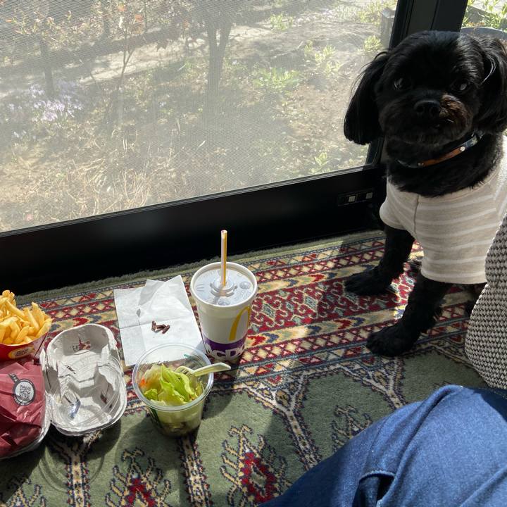 98808d49 5143 4087 9abd e943e87cf079 1617971762600