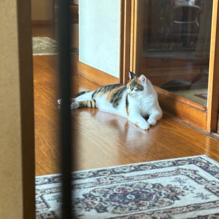 9880ab5b 1882 4bc9 a13c 3c634cfc3268 1727137506064