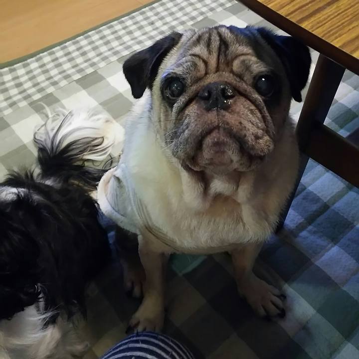 9880cad3 7453 4609 94b5 3a8949b13312 1549423117216