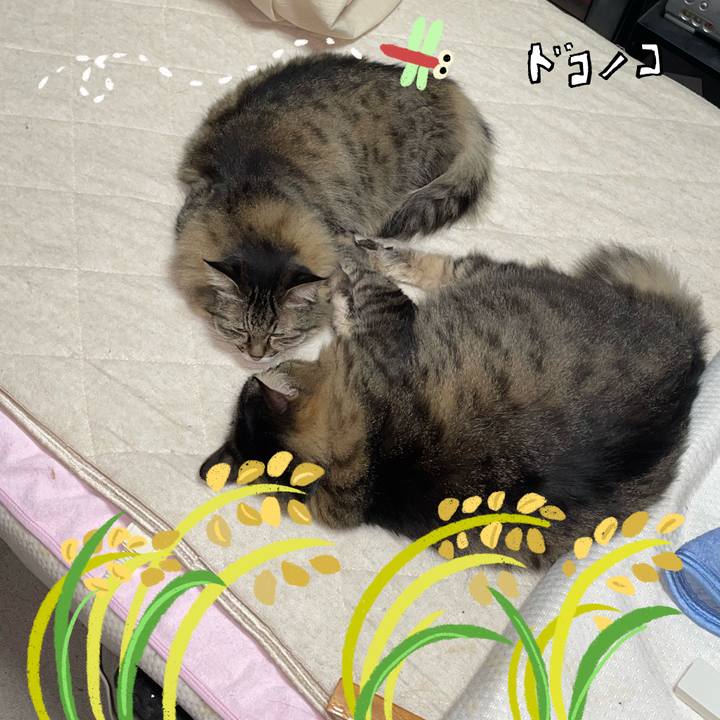 9880d545 ffa1 447b b4f3 e0960b8cb47b 1761206774345