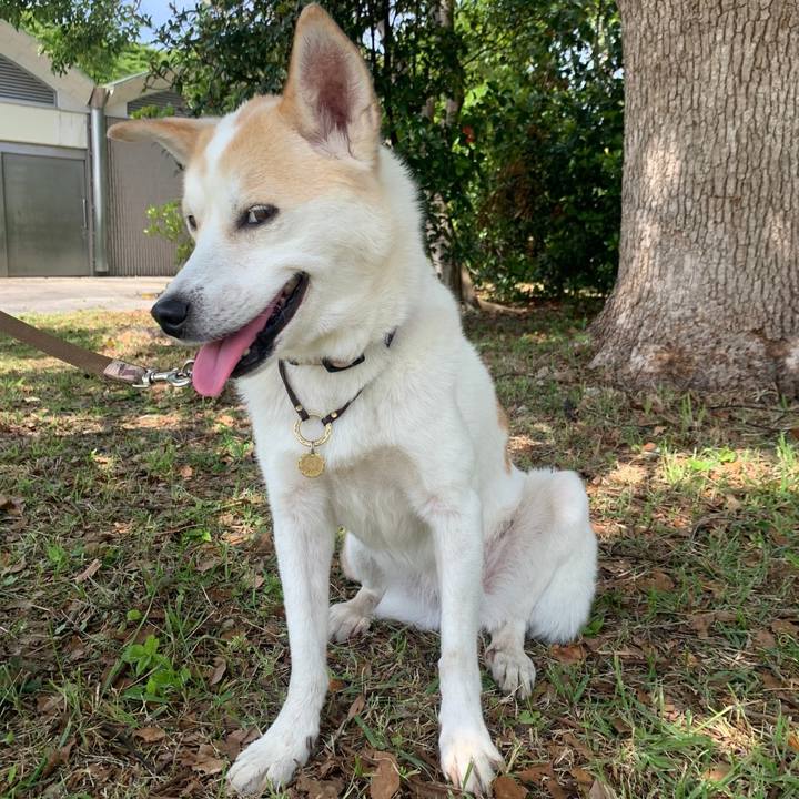 9880d6e9 f499 4d4b 8fac 83910abff4f4 1685531240391