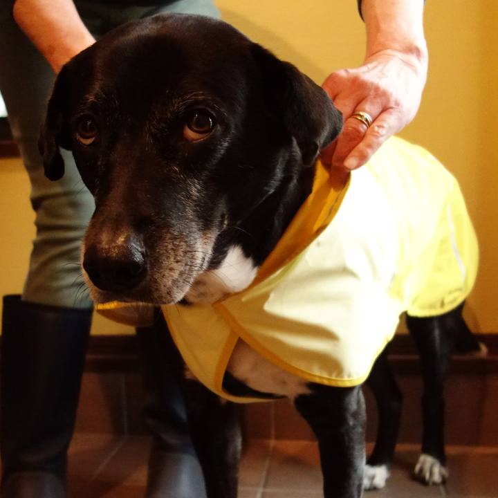 9880dd2c bdbc 40be b457 3d6a766a5525 1745365866005