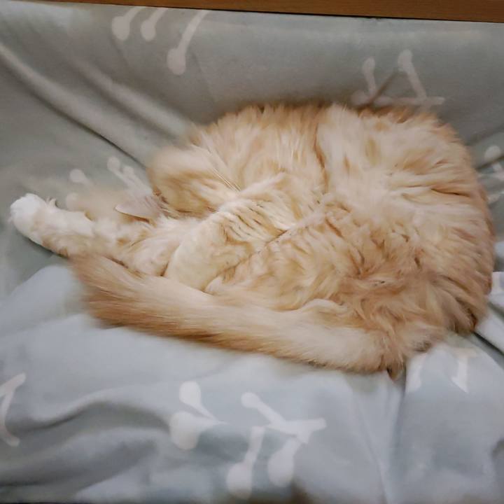 9880e437 5be3 42f3 91f6 ba9653dab0ab 1701946525983