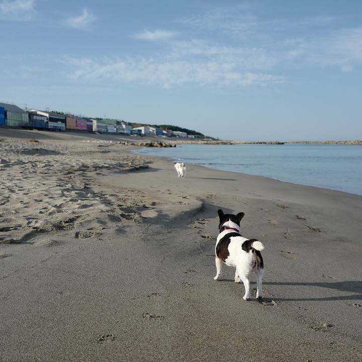 9880f59f 00ed 4f32 904a 1cc0f6231433 1540526828840