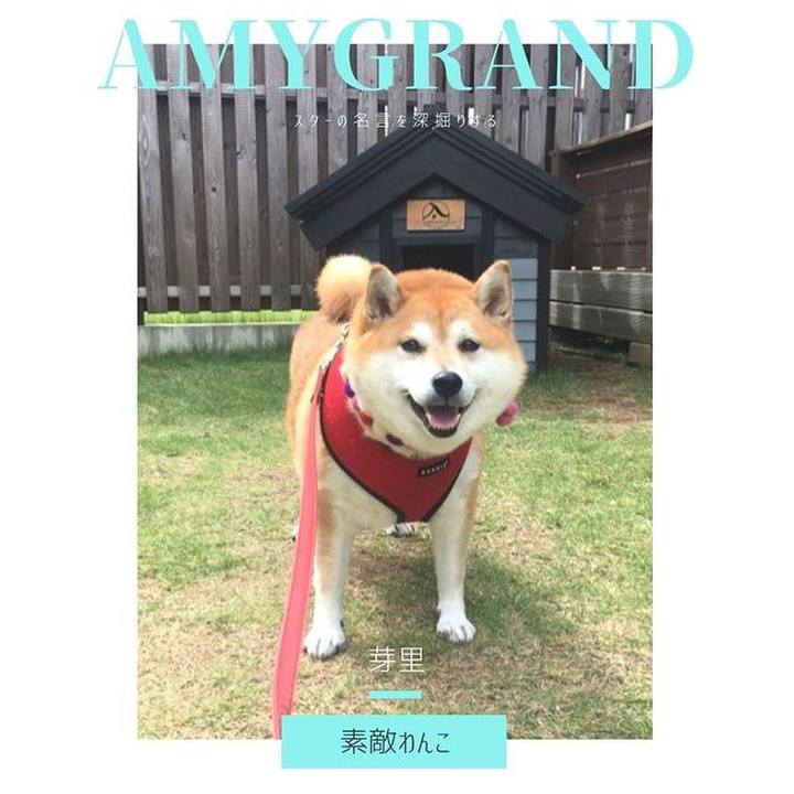 988101de 398b 42ca a3a2 afa4cb4cf3ae 1642132218815