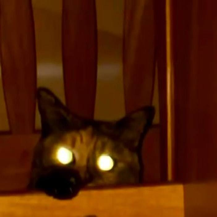 98811583 7284 4857 94c9 4b27f9522cc0 1741203472025