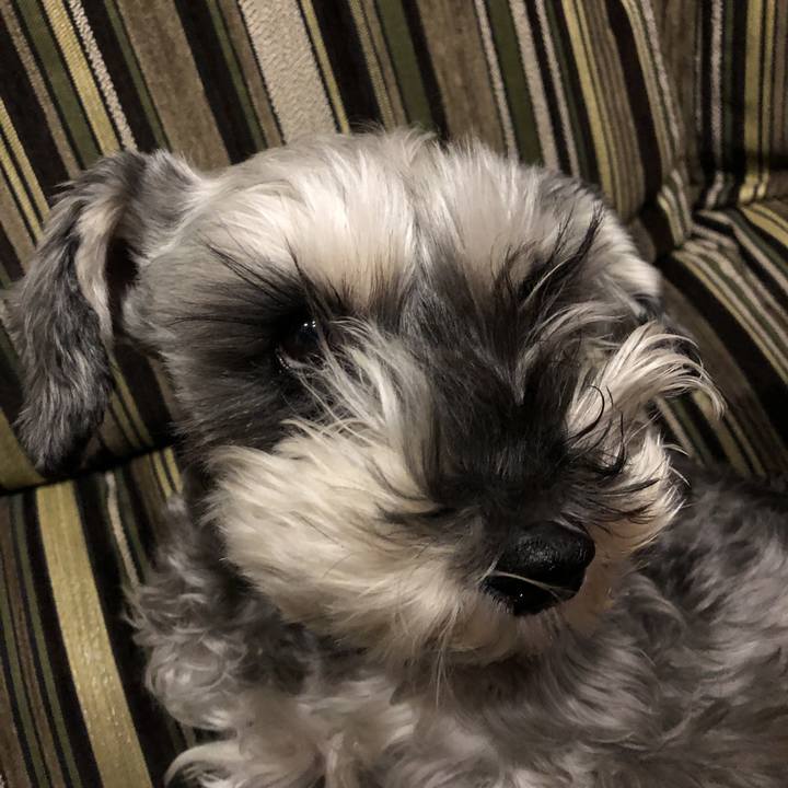 98812e67 2063 4e0d a52d 584974c88b32 1576848944686