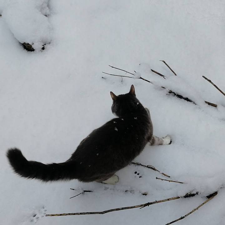 98813979 c076 4f4c 9e19 c507c9365f83 1770554918575