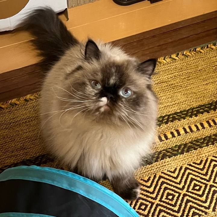 9881425b f908 4f95 b790 9e6ebbeb1c18 1663469552618