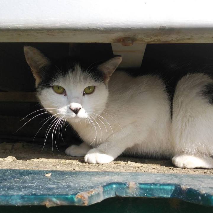 988170c4 de8a 4c76 8b5f f7ec25467a98 1604028552994