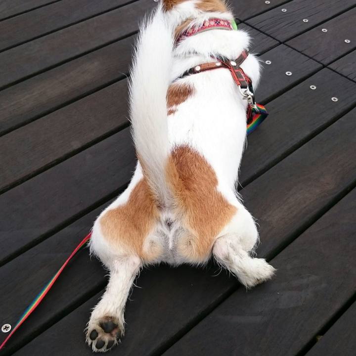 988185a3 bec6 471b 8e19 c54112e02341 1536583539725