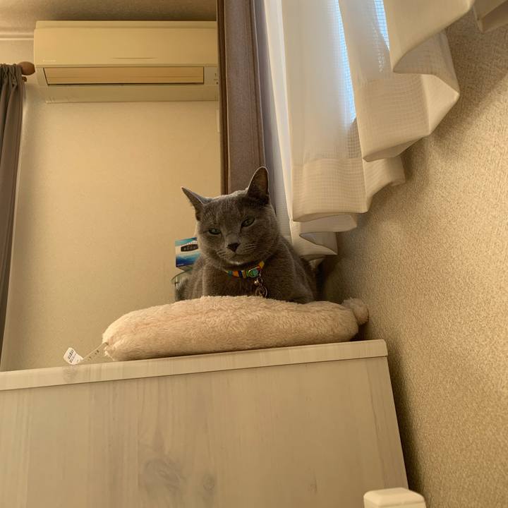 9881a56f bc2b 4712 b772 508d15037ae8 1639877335464