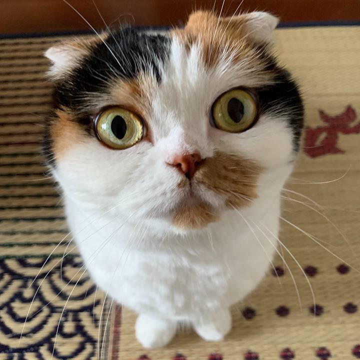 9881ca6a d451 4e20 bb06 8d59785b6079 1567148034183