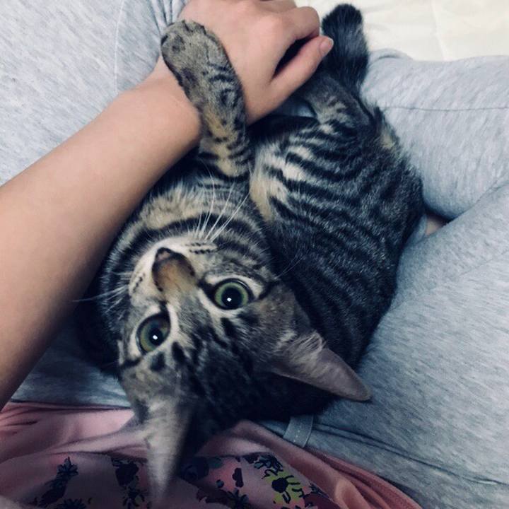 9881f2e6 47ed 4aad a576 7e5f2f53c32d 1509553811431