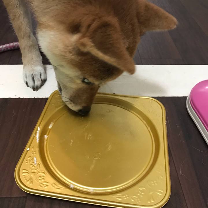 9881f95b d53e 4267 9d12 107e852f4273 1545658601491