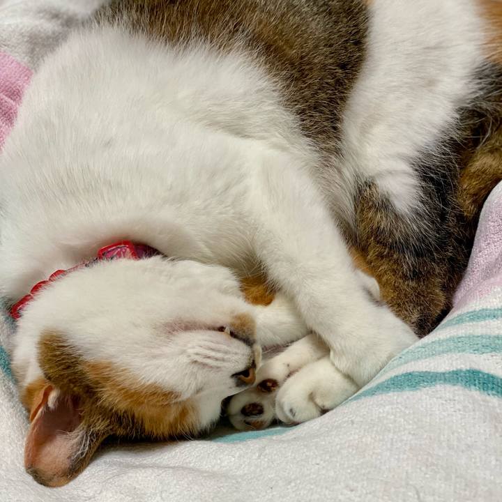 9882336a 4cad 4794 bc48 9f795f193019 1622820638154