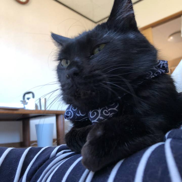 98824961 11b0 4ab6 946c 8cd9fca6dd2a 1557569501862