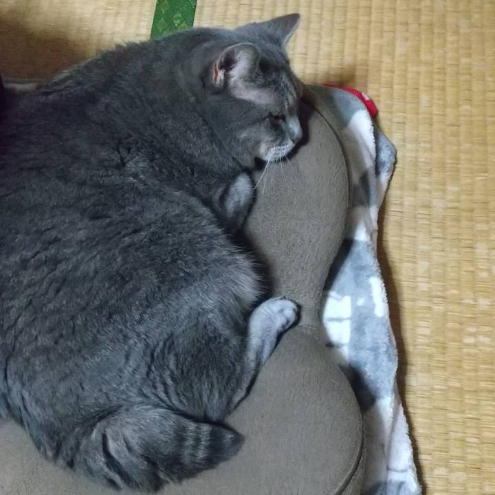 988265df 7ce7 48b7 a9f1 c91f7ead95c1 1630586890429