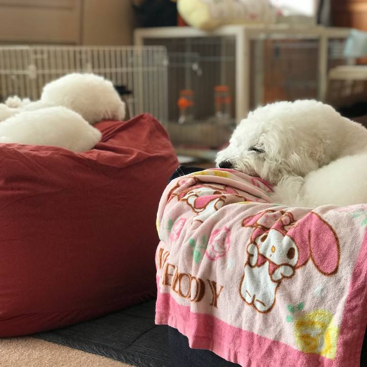 9882730b c990 439a 9ab9 79853bada516 1576282624658