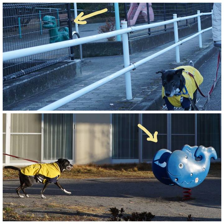 9882ce8d 59d0 4139 91ad 75646f32aa2a 1766882778281