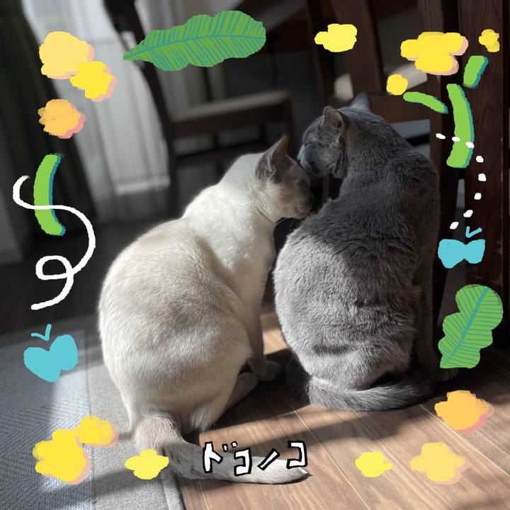 9882dd08 21b2 41c0 b433 0e9d7de17950 1744371294213