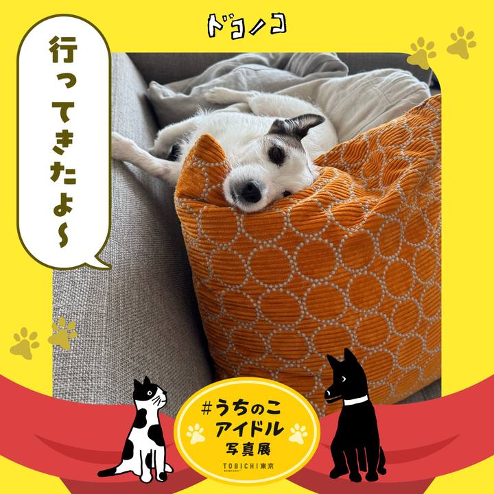 9882f271 d2eb 4b08 8fed 1c1dad63c67a 1761884846673