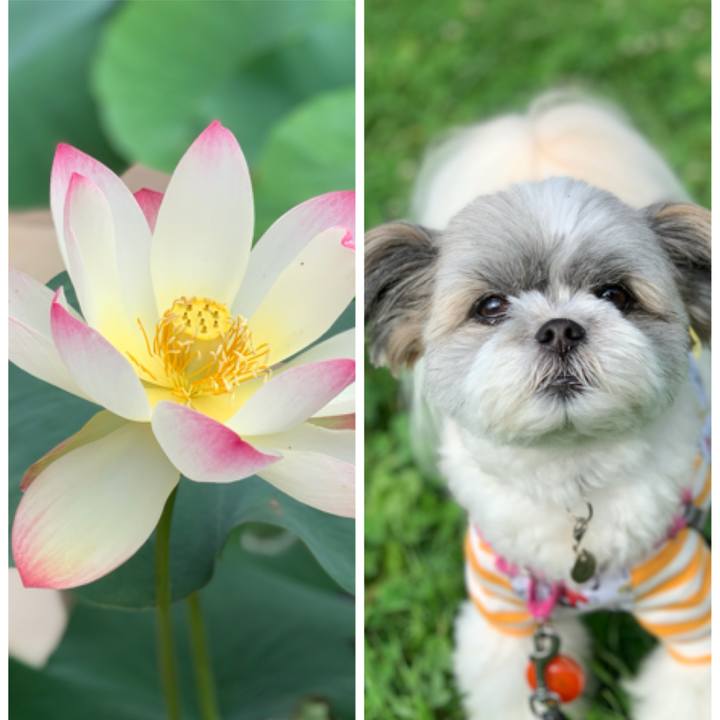 98830cac 8d49 4d6a 8591 face68f6fb7a 1593491341519