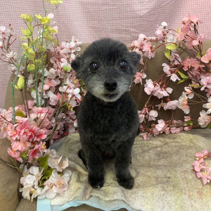 98831318 0e18 4cb1 83b6 0a5ad4249bee 1708860986139