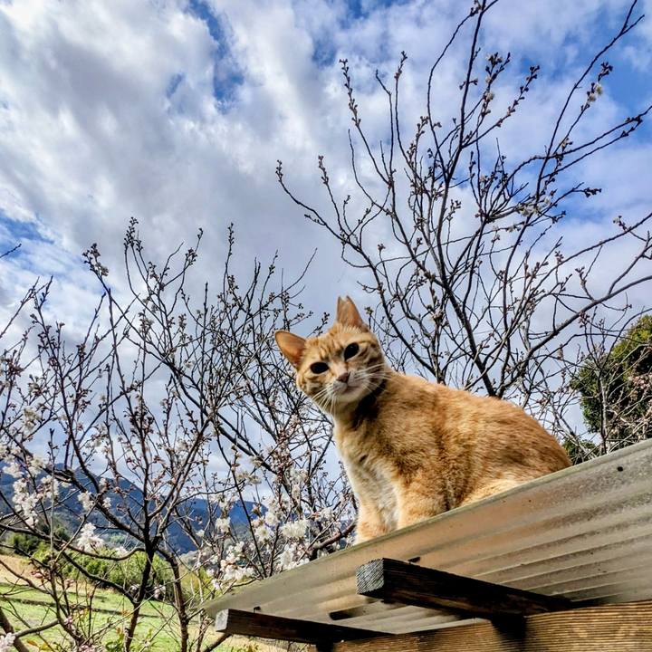 98839172 32ef 4449 a541 af05407eda42 1772256442902