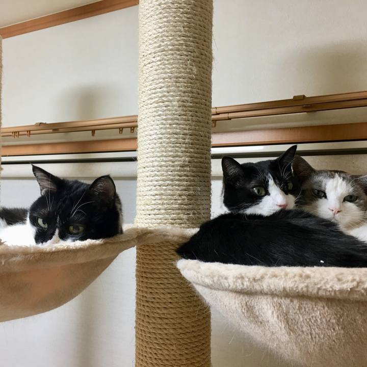 9883aaf6 ac05 43c3 ae81 0ab39302c0ea 1515236432499