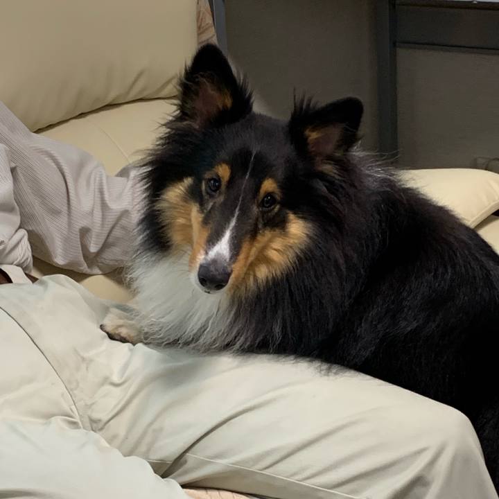 9883f221 4472 4ded b64f af94989438ed 1563832124689