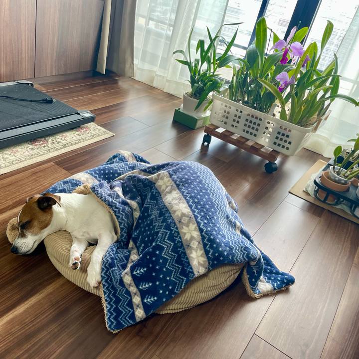 988412cc 53b1 49e4 aa94 e8f3d023f617 1738809551599