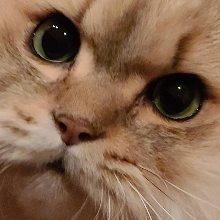 9884203b 71b7 4465 b0a4 d3a6d28449ee 1606695694463