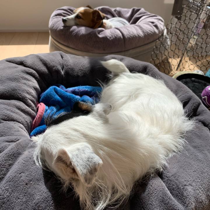 988497aa 8af2 4763 9a29 57d566a2c00a 1614397463173