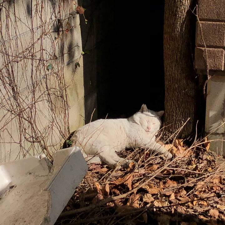 9884ad55 6a3a 457f bc51 3f147a8b2d50 1604631825461