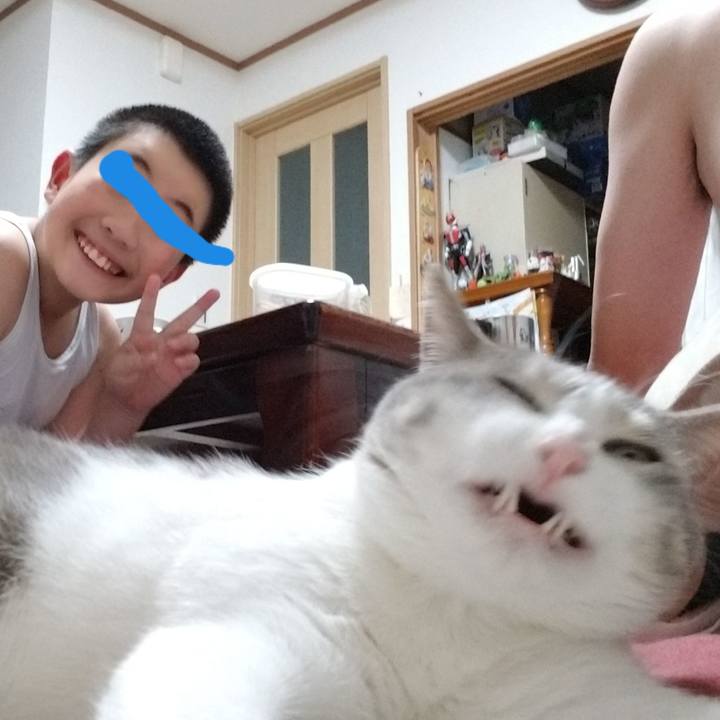 9884b2c7 0559 4d1b 9c77 15e5c4c9ff2e 1548510461865