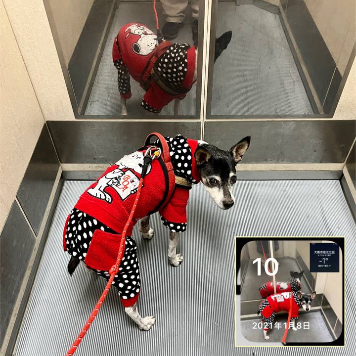 9884c7b3 9c8b 49fd bab6 d829e26582af 1641777530519