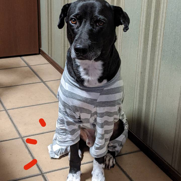 9884f0e8 c49f 46a7 a6f9 f0171b5f24e8 1640566203104