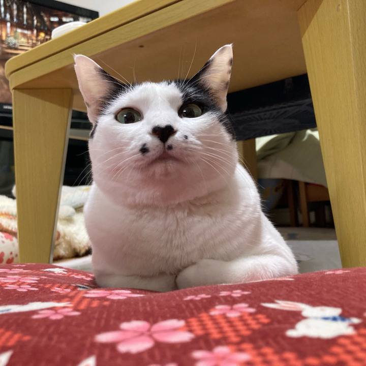 988587a9 4df6 4c88 999f 77571c95925c 1760623478386