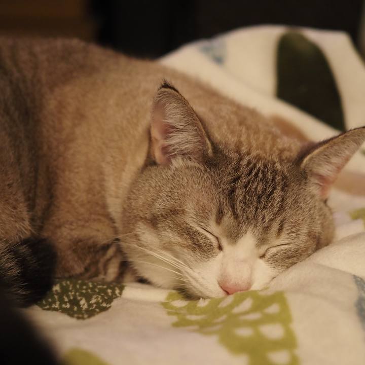 9885cf26 f61e 430e 9790 eb074004dfdf 1610974923016