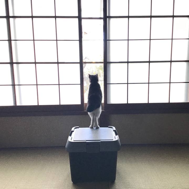 9885d42f 6b48 4117 a7ff bccbe403029c 1547813658703