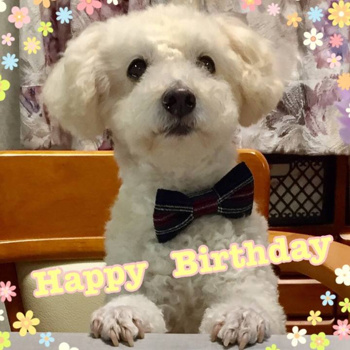 9885e490 ba88 4e99 ba9f 2bf1ef677d1f 1521034796151