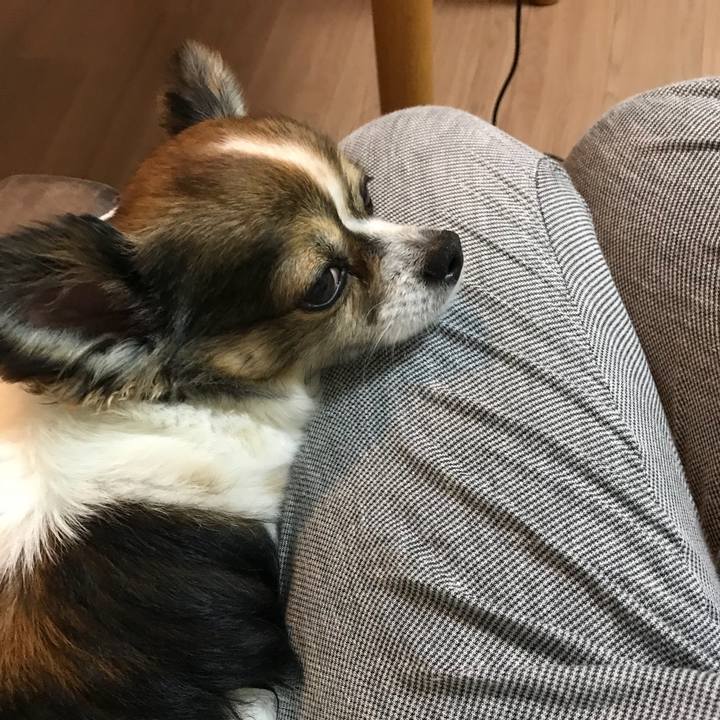 9886162d de9a 46d5 a8be a52f8c93ce7f 1529839936516