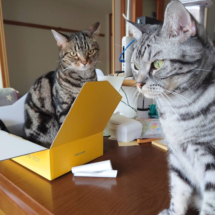 9886336f 1fc9 408d bc3a 2f44b4acda13 1619660872284